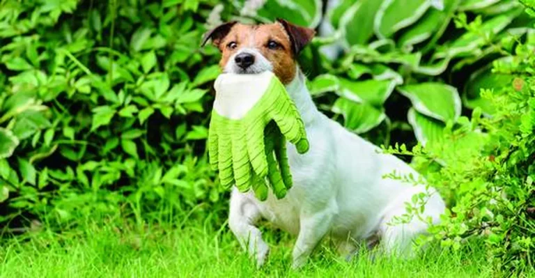 SPIELWIESE FÜR ALLE!