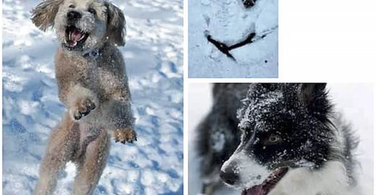 FIT DURCH DEN WINTER!