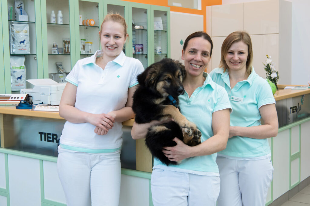 Impfungen Hund 2 tierplus impfungen hund3